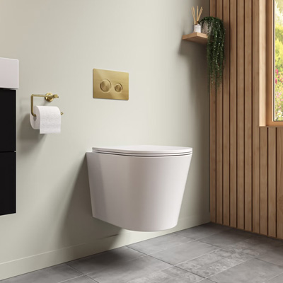 Rimless Toilet